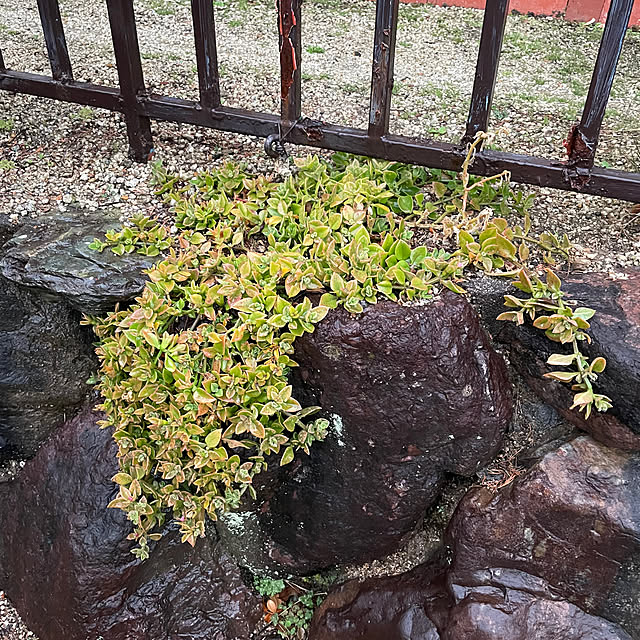 shin0719さんの部屋