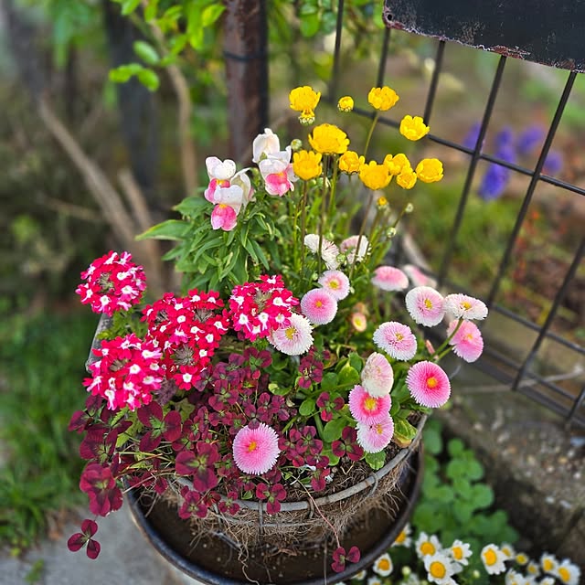 min_nimさんの実例写真
