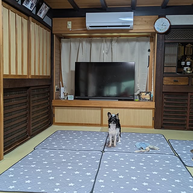 kuririnmamaさんの部屋