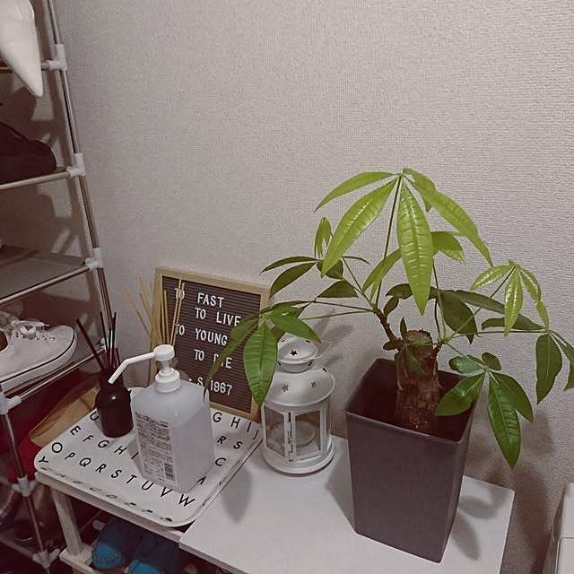 kyoko_aさんの実例写真