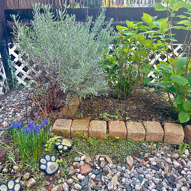 miyuさんの実例写真