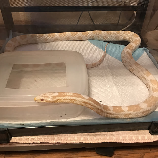maruさんの実例写真