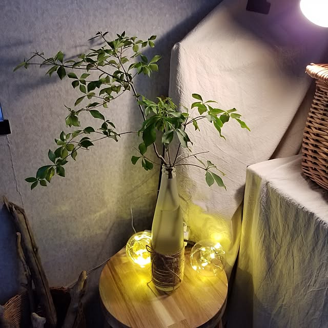 部屋全体/ドウダンツツジ/観葉植物のある暮らし/庭のドウダンツツジ/切り株...などのインテリア実例 - 2023-05-31 08:25:53