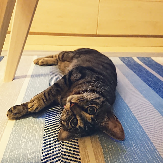 taka-kiさんの実例写真