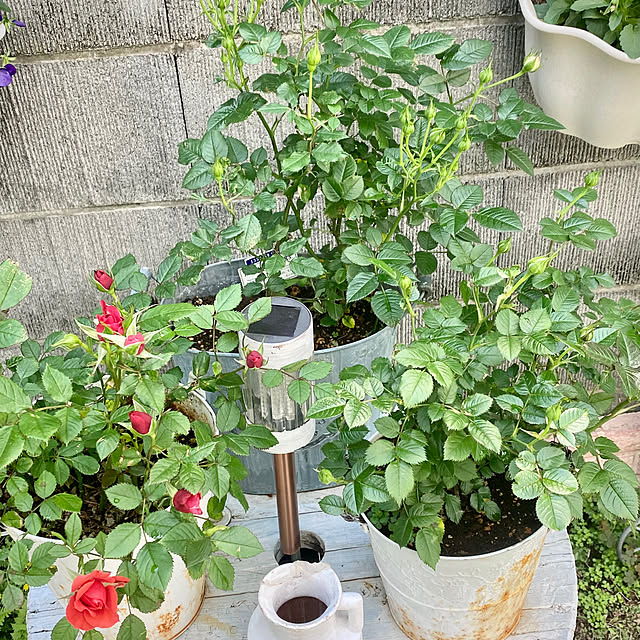 YuuKoさんの部屋