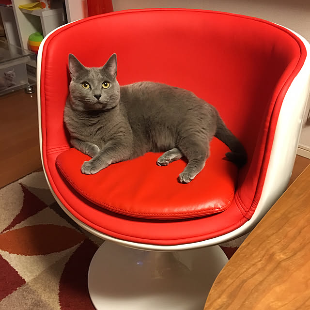 ikettenさんの実例写真