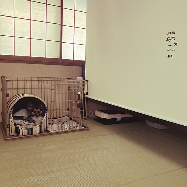 tonkoさんの実例写真
