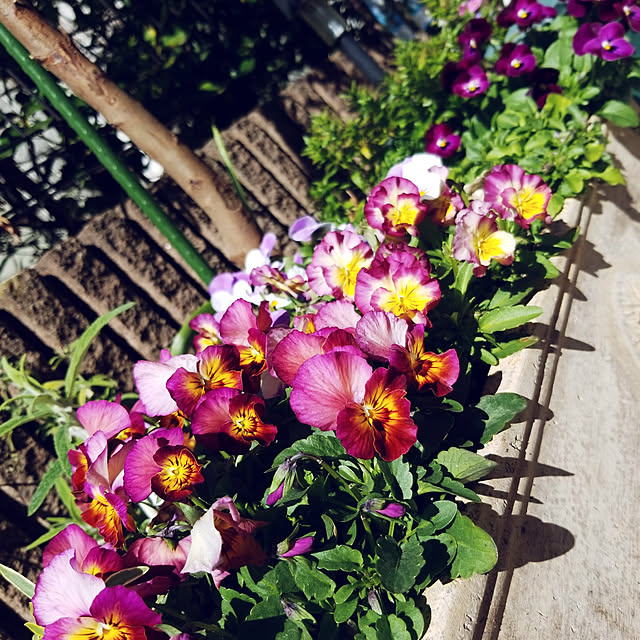mimi828さんの実例写真