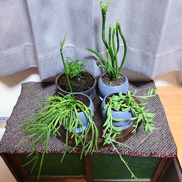 mtmtさんの部屋
