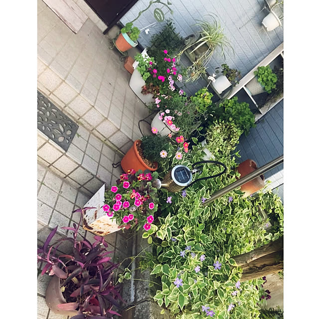 CoCo0617さんの部屋