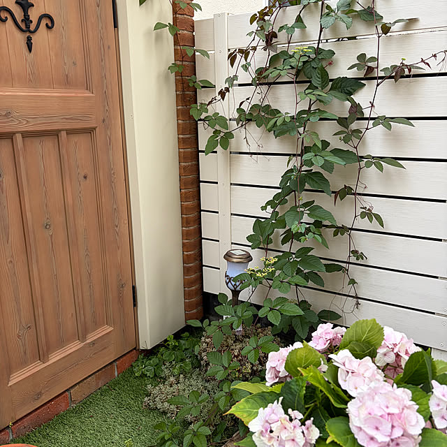 kuraさんの部屋