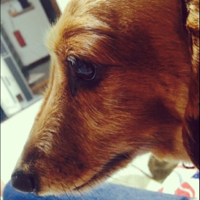 pepeさんの実例写真