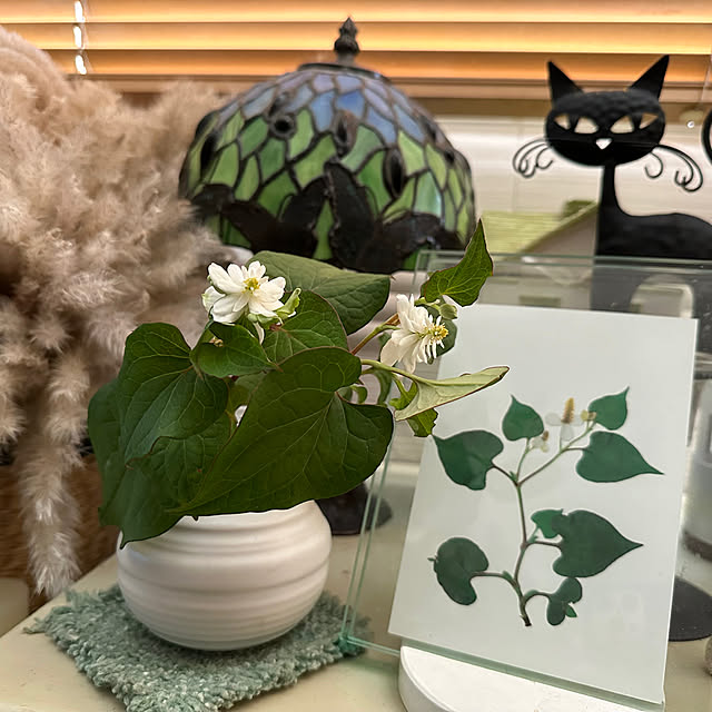 mizucchiさんの実例写真