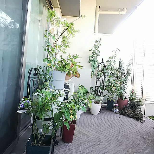 hiromimiさんの実例写真