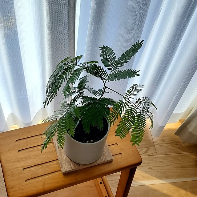 tokkiさんの実例写真