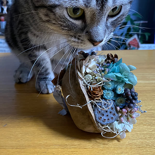 yuzuaoさんの部屋