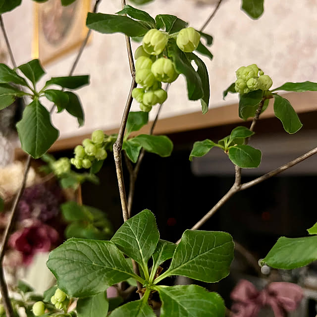 AYUKOさんの部屋