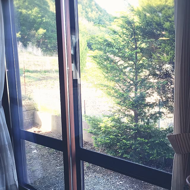 mayuさんの実例写真