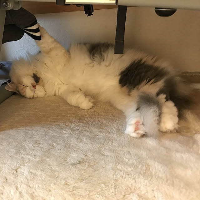 keibooさんの実例写真