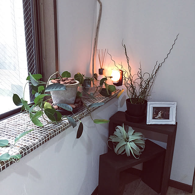 棚/出窓/フェイクグリーン/観葉植物/照明...などのインテリア実例 - 2017-10-24 21:14:33