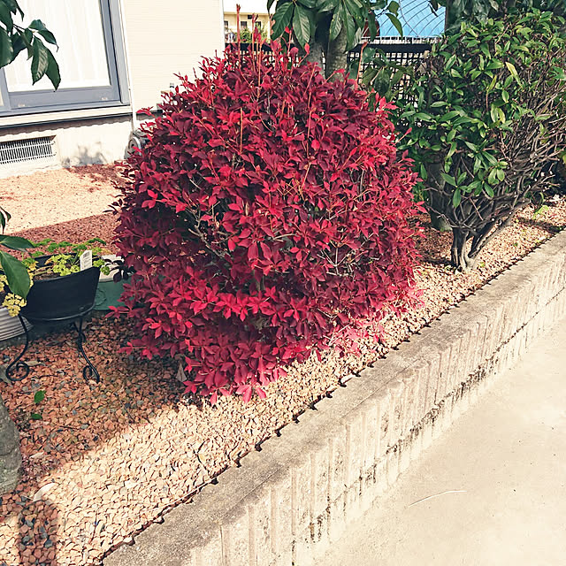 ayaさんの実例写真