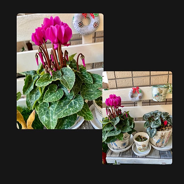 YuuKoさんの実例写真