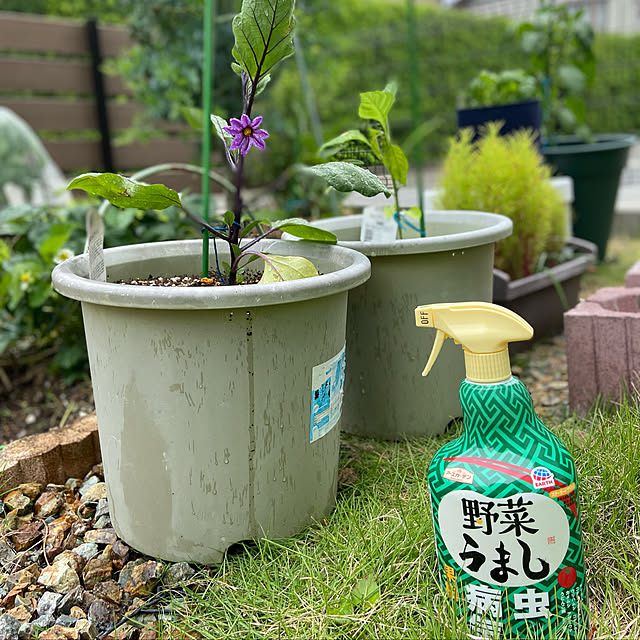 ippu0303Karinさんの実例写真