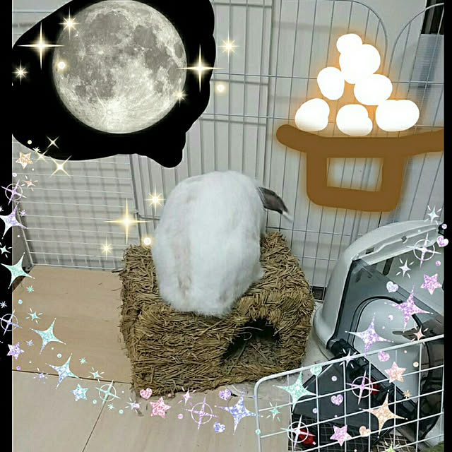 WASABIさんの実例写真