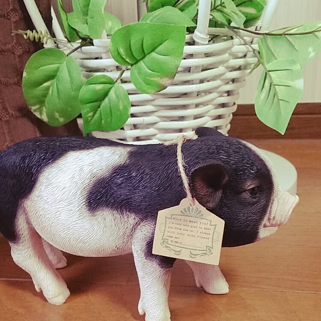 Mieさんの実例写真