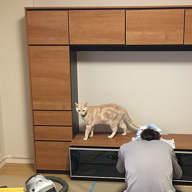 DAIKEN_officialさんの実例写真