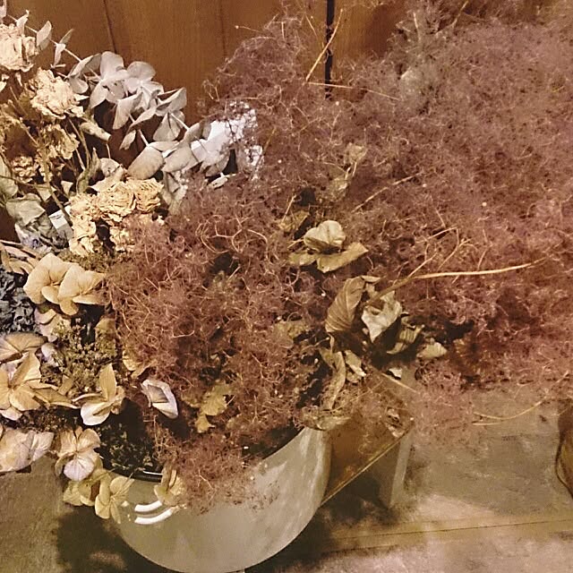 kyotaさんの実例写真