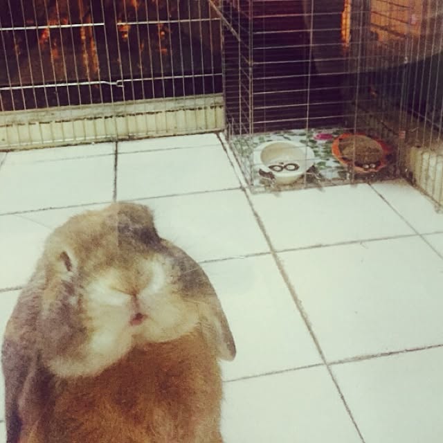 MARIさんの実例写真