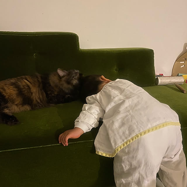 mikomaruさんの実例写真