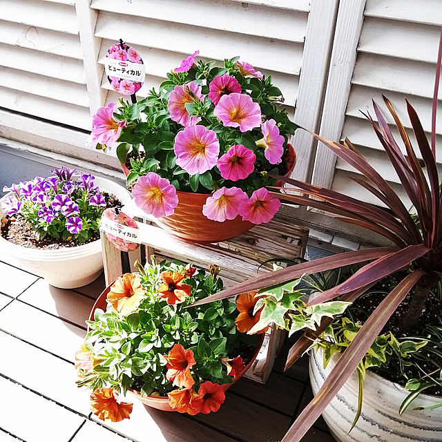 VERANDARJUNさんの実例写真