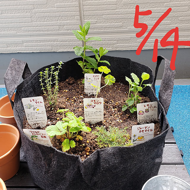 emiさんの実例写真