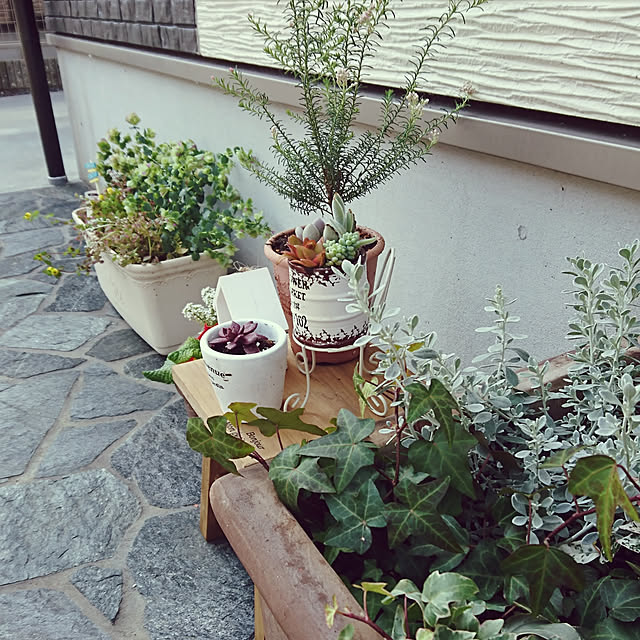 玄関/入り口/こじんまりしたお家/築5年の中古住宅/寄せ植え大好き♡/植物のある暮らし...などのインテリア実例 - 2018-04-10 10:51:17