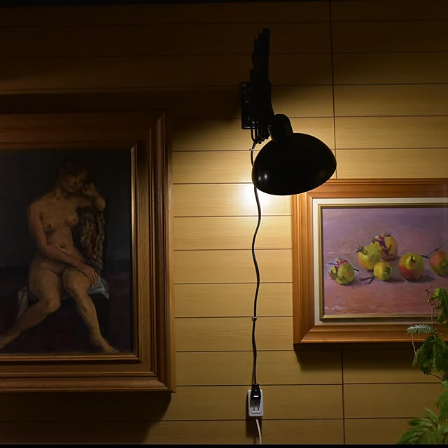 anonymous1974さんの実例写真