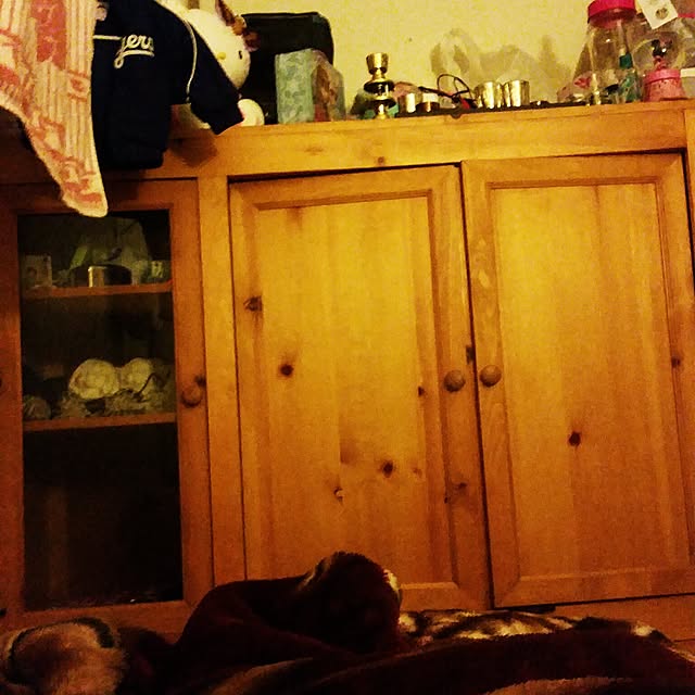 malle9969さんの実例写真