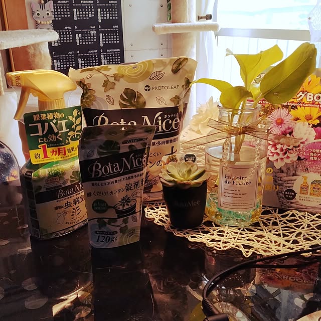 runaさんの実例写真