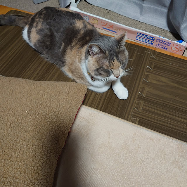 fukuさんの実例写真
