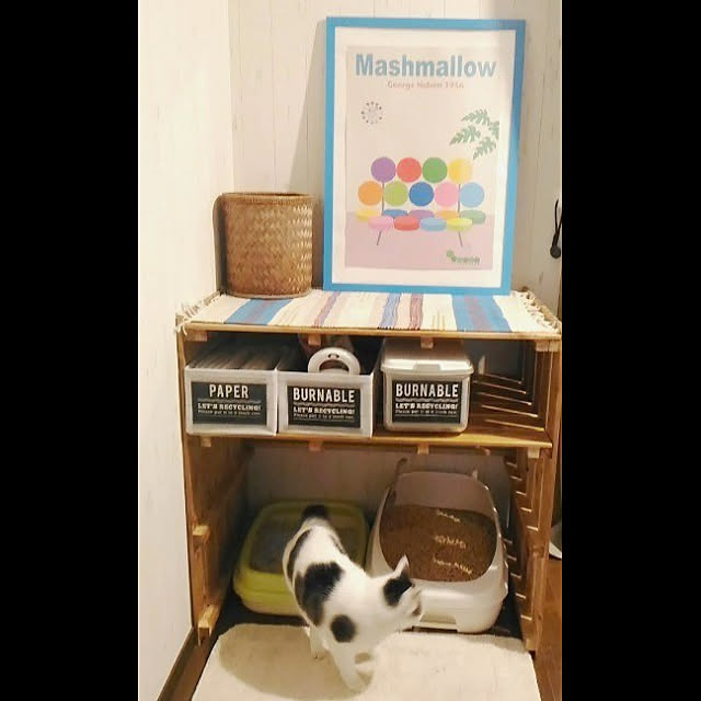 cacaoさんの実例写真