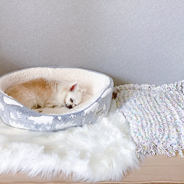 miさんの実例写真
