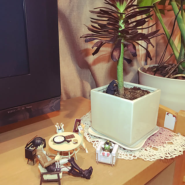 kou-kitiさんの実例写真