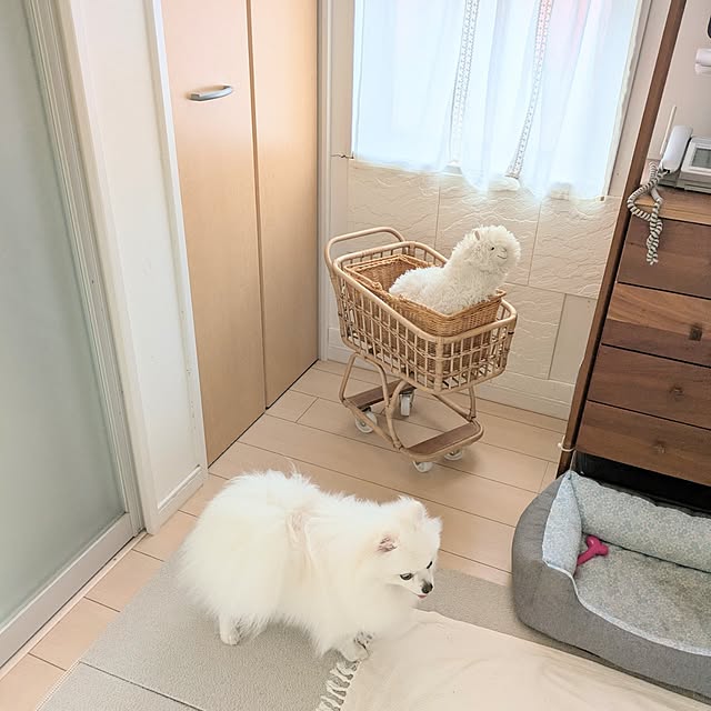 tilolさんの部屋