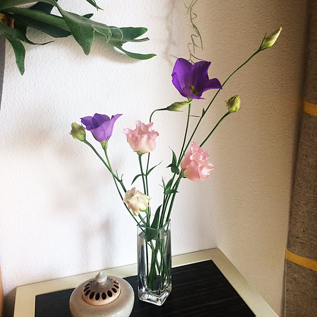 junkoさんの実例写真