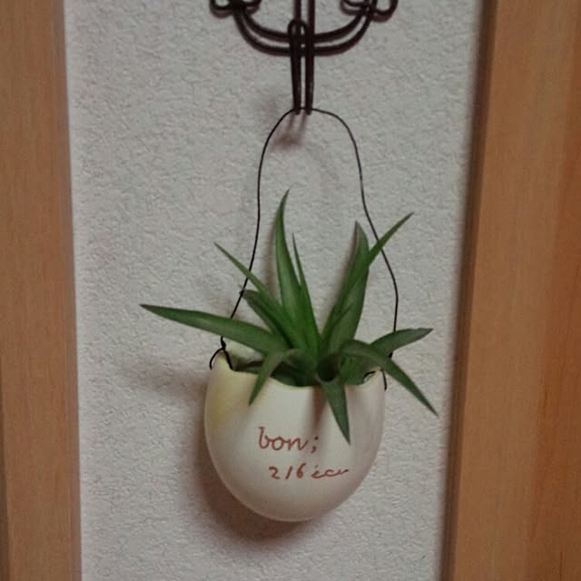 rumさんの実例写真