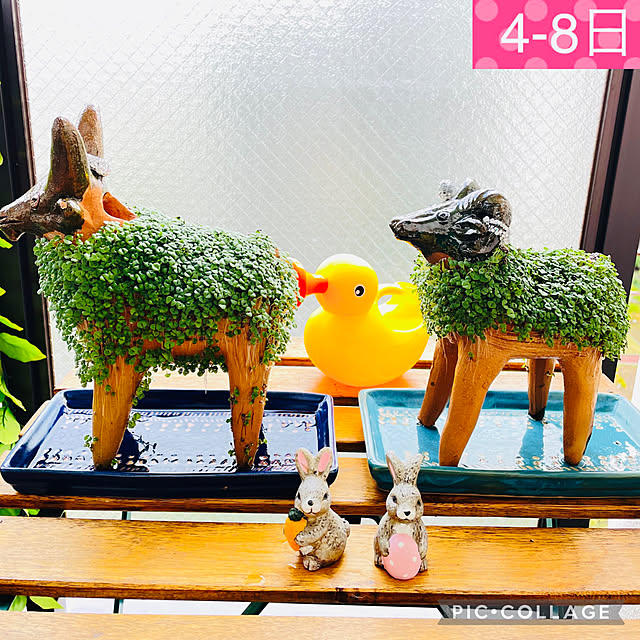 aureaさんの実例写真