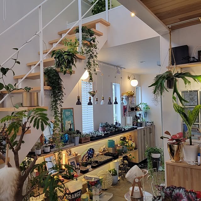 nonbiri_house_さんの実例写真