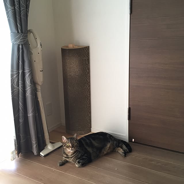 mikomaruさんの実例写真
