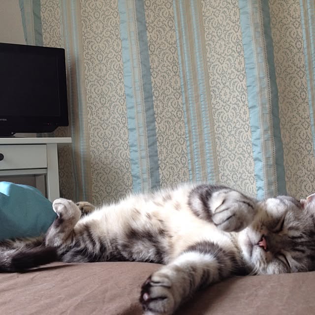 Booさんの実例写真